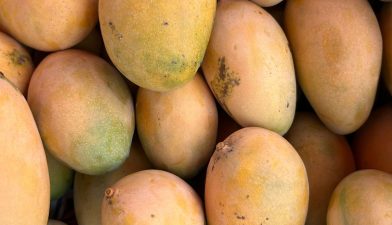 Ripe mangoes for digestive health