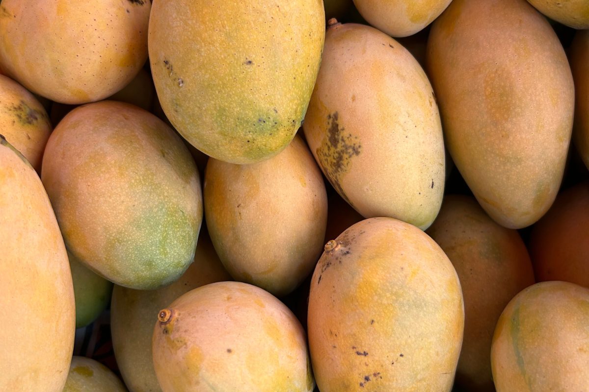 Ripe mangoes for digestive health